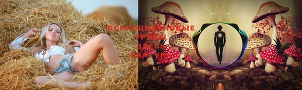 спайс Куйбышев